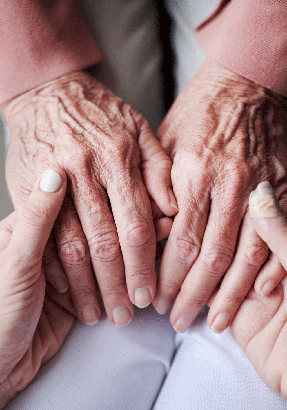 soin-domicile-region-hal-tubize-berchem-professionnel-certifie